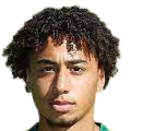 https://img.cznamei.com/img/football/player/347a6d58ae7ec0425a4d42bc9215c411.png