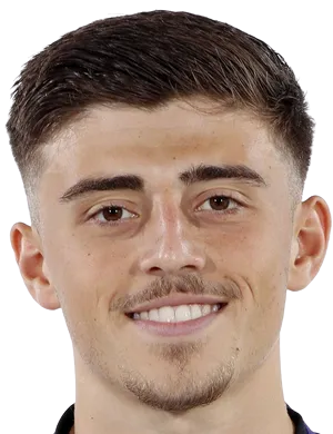 https://img.cznamei.com/img/football/player/f3b67b5d19b6b8a5777afaa9dcd6d3fa.png