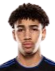 https://img.cznamei.com/img/football/player/fb7fd3390bdc25307ce54843fe6472dd.png