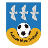 https://img.cznamei.com/img/football/team/259a1106a33b56d2bb3c458a62ffa2ea.png