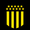 https://img.cznamei.com/img/football/team/68b4fd9f62681acaf82ffd68ad2f51f2.png